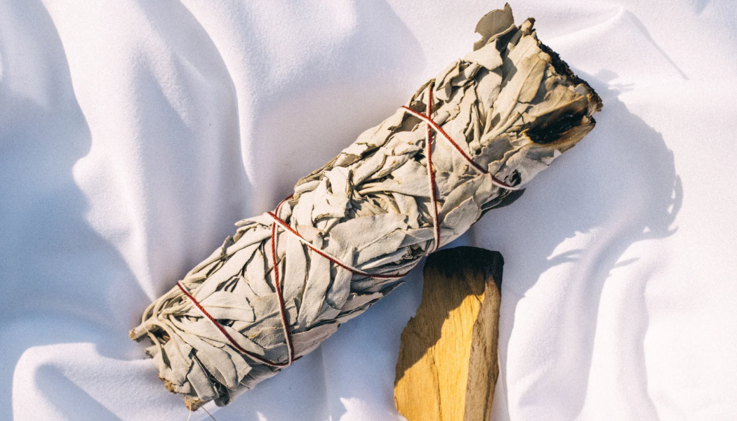 Белый шалфей: зачем его жгут, и какие травы усилят его магию?